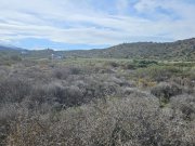 Milatos Kreta, Milatos: Baugrundstück im Zentrum in Meeresnähe zu verkaufen Grundstück kaufen